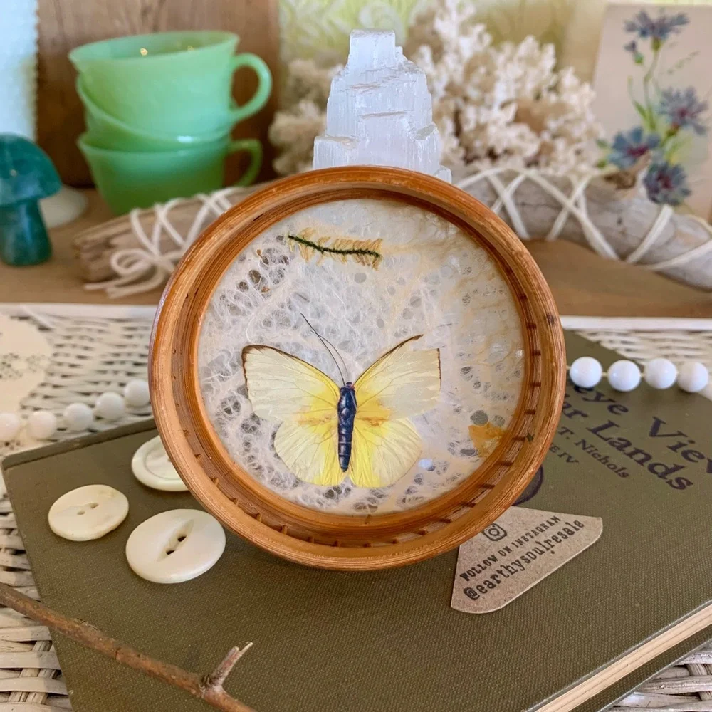 Vintage Butterfly Coaster 🦋 Unique Home Decor / Gift / Retro / Nature / Table - Picture 1 of 7
